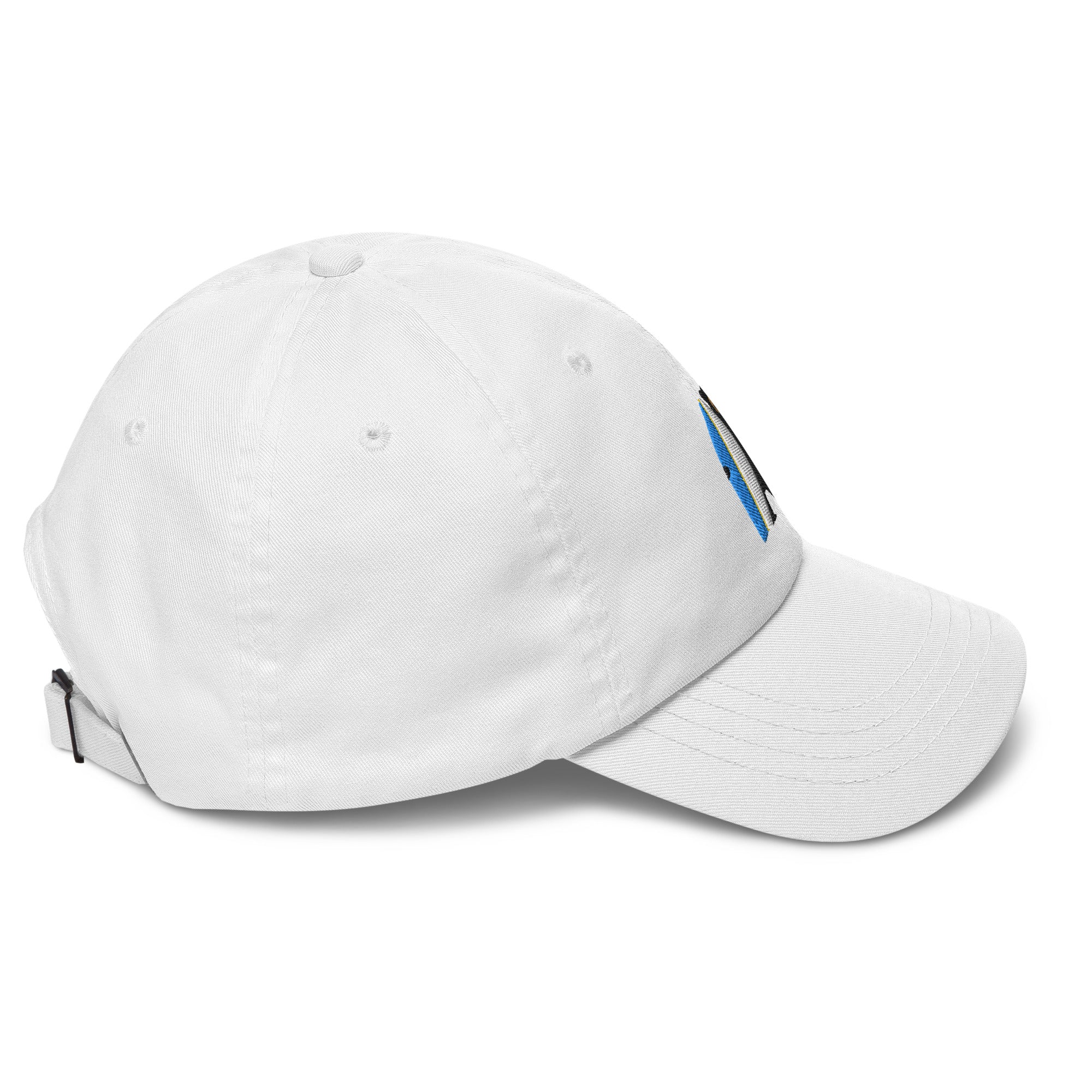 Surf Bear Hat