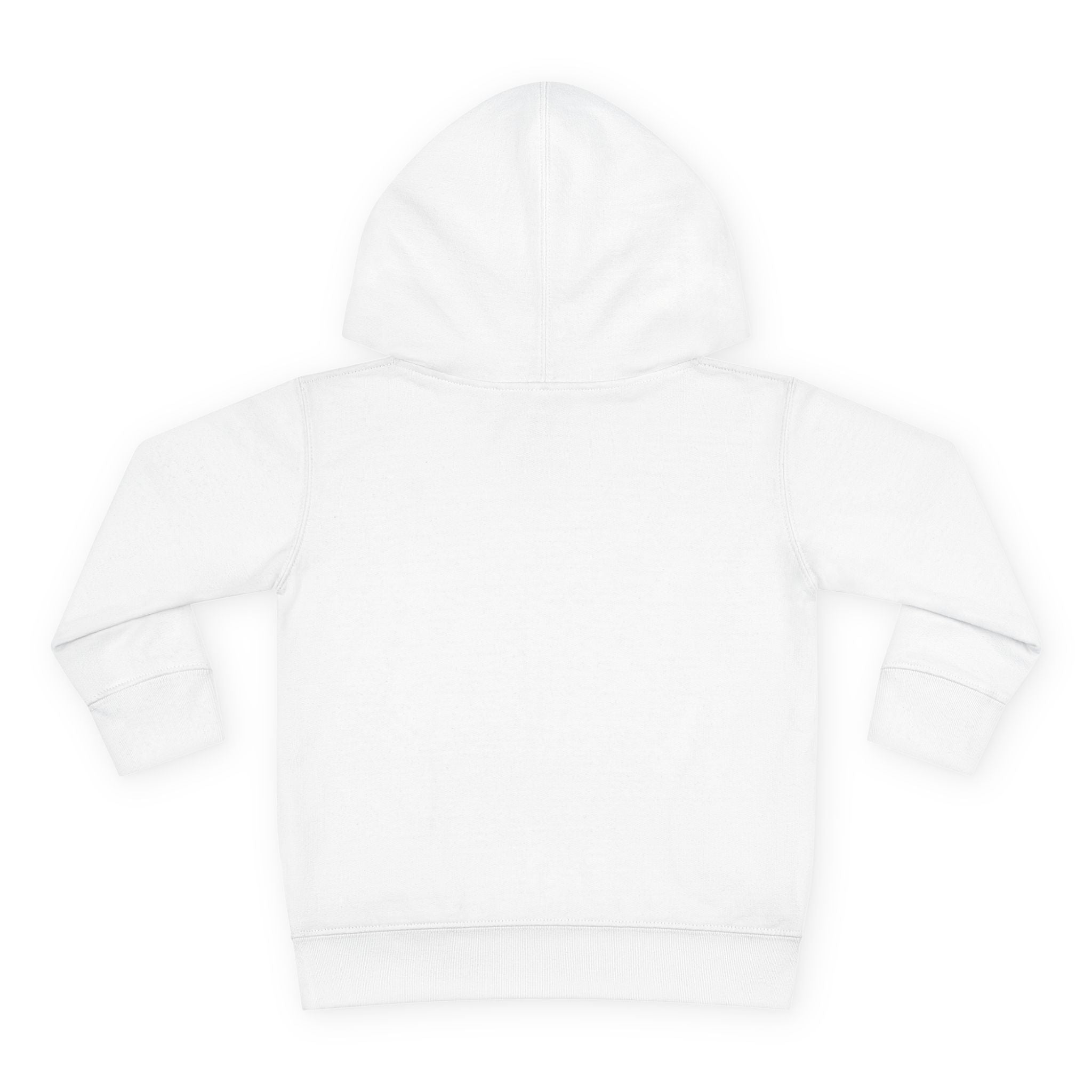 Toddler Mountain ICFB Hoodie