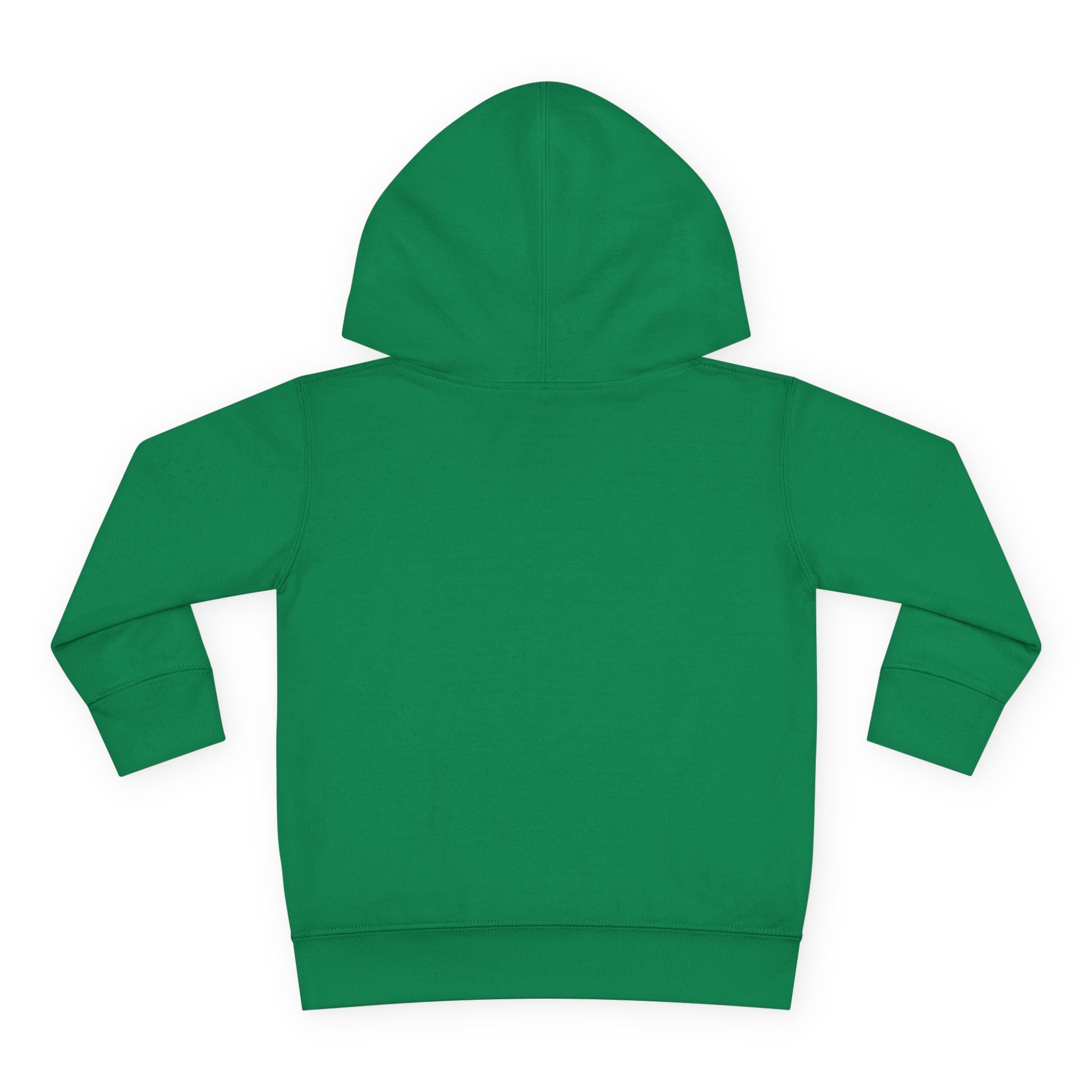 Toddler Mountain ICFB Hoodie