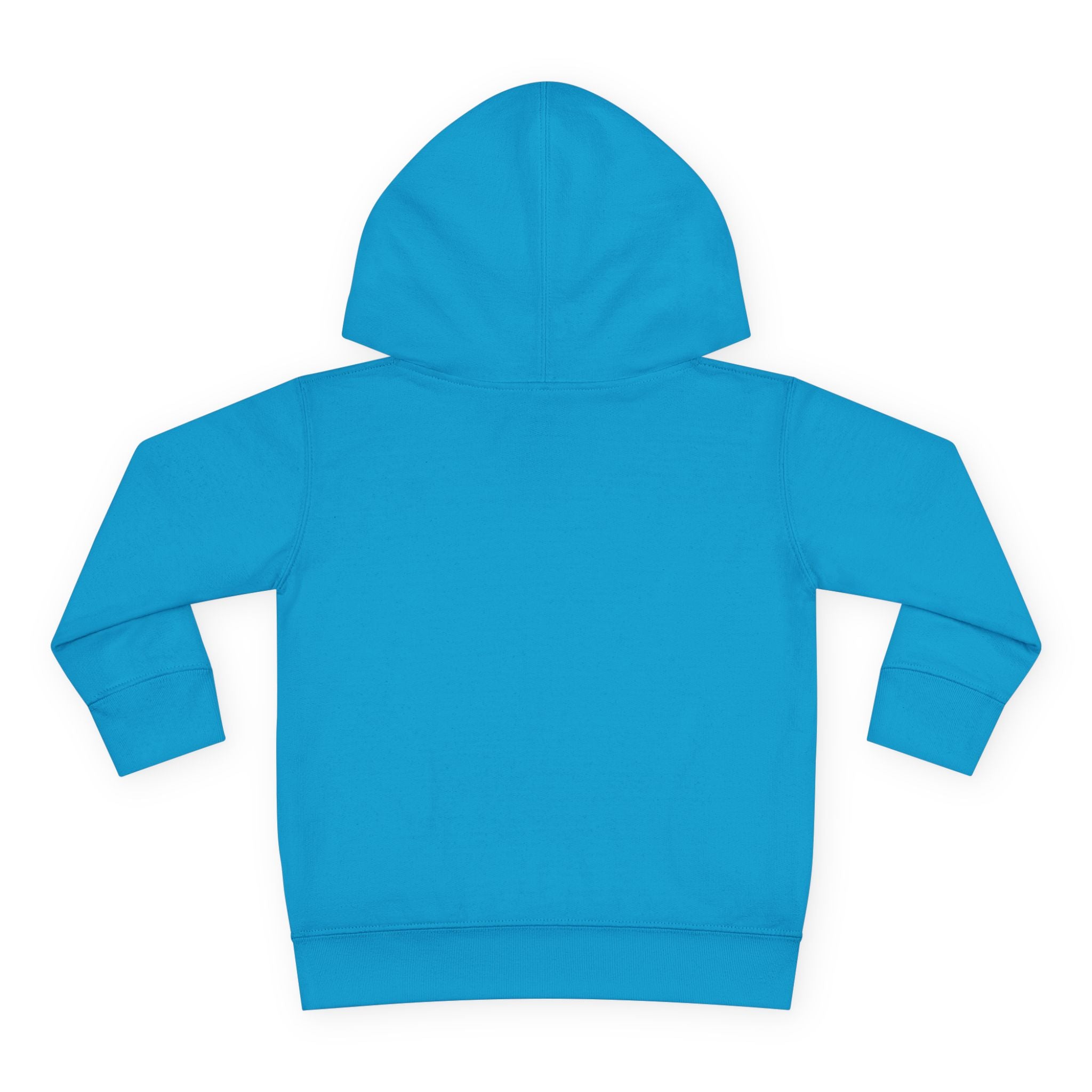 Toddler Mountain ICFB Hoodie