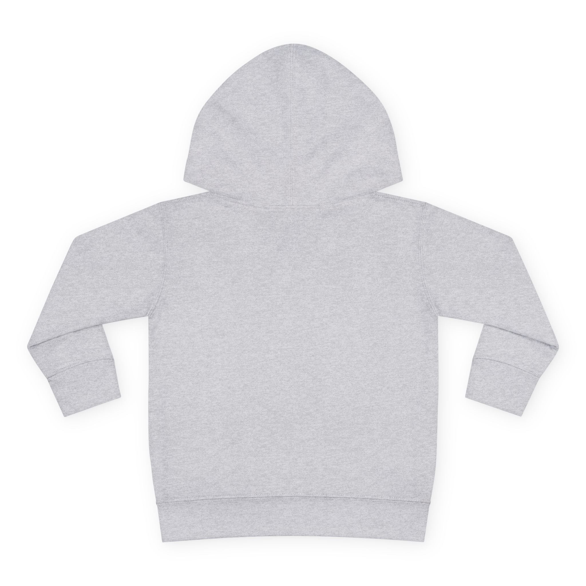 Toddler Mountain ICFB Hoodie