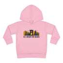 Toddler Mountain ICFB Hoodie