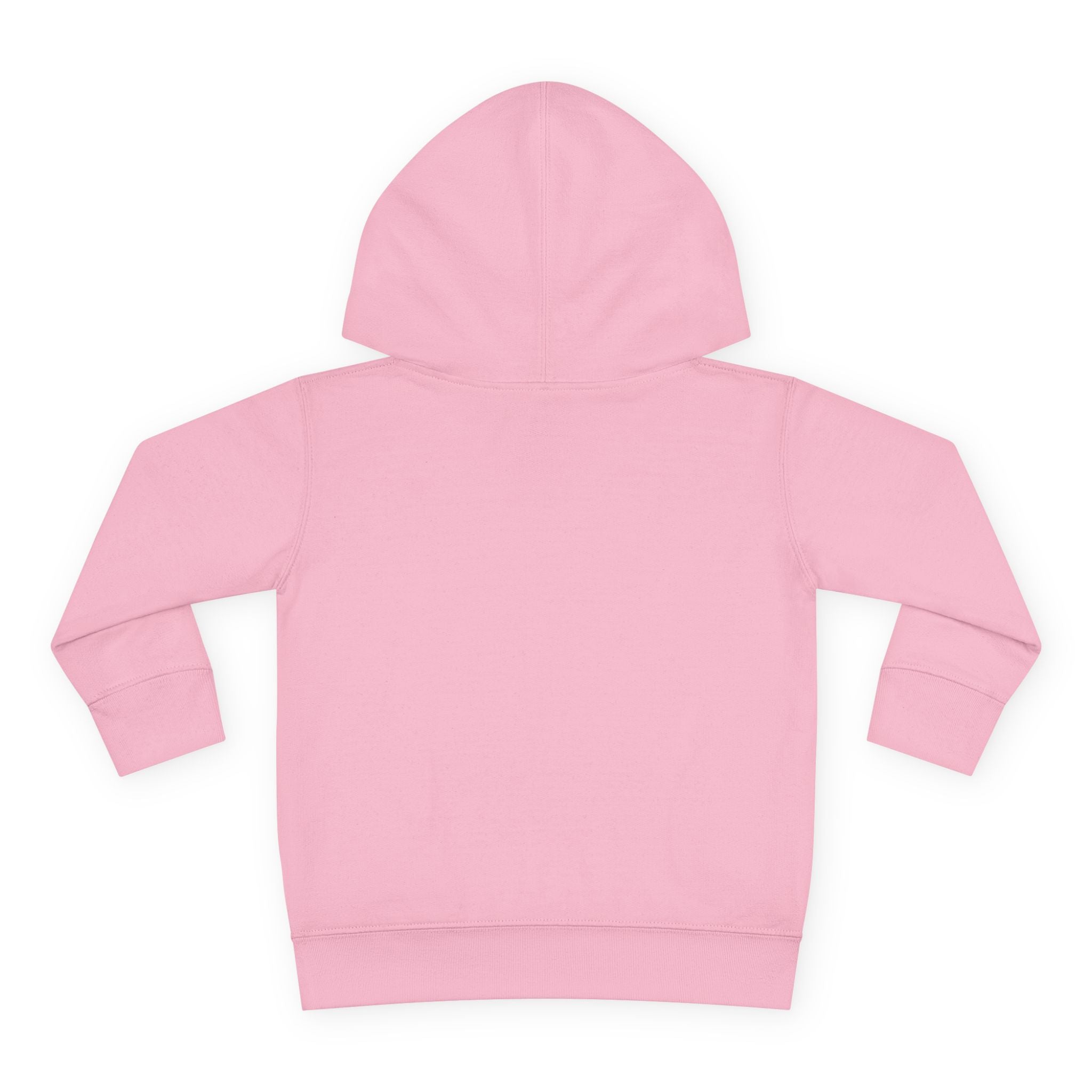 Toddler Ice Cream for Bears Fleece Hoodie