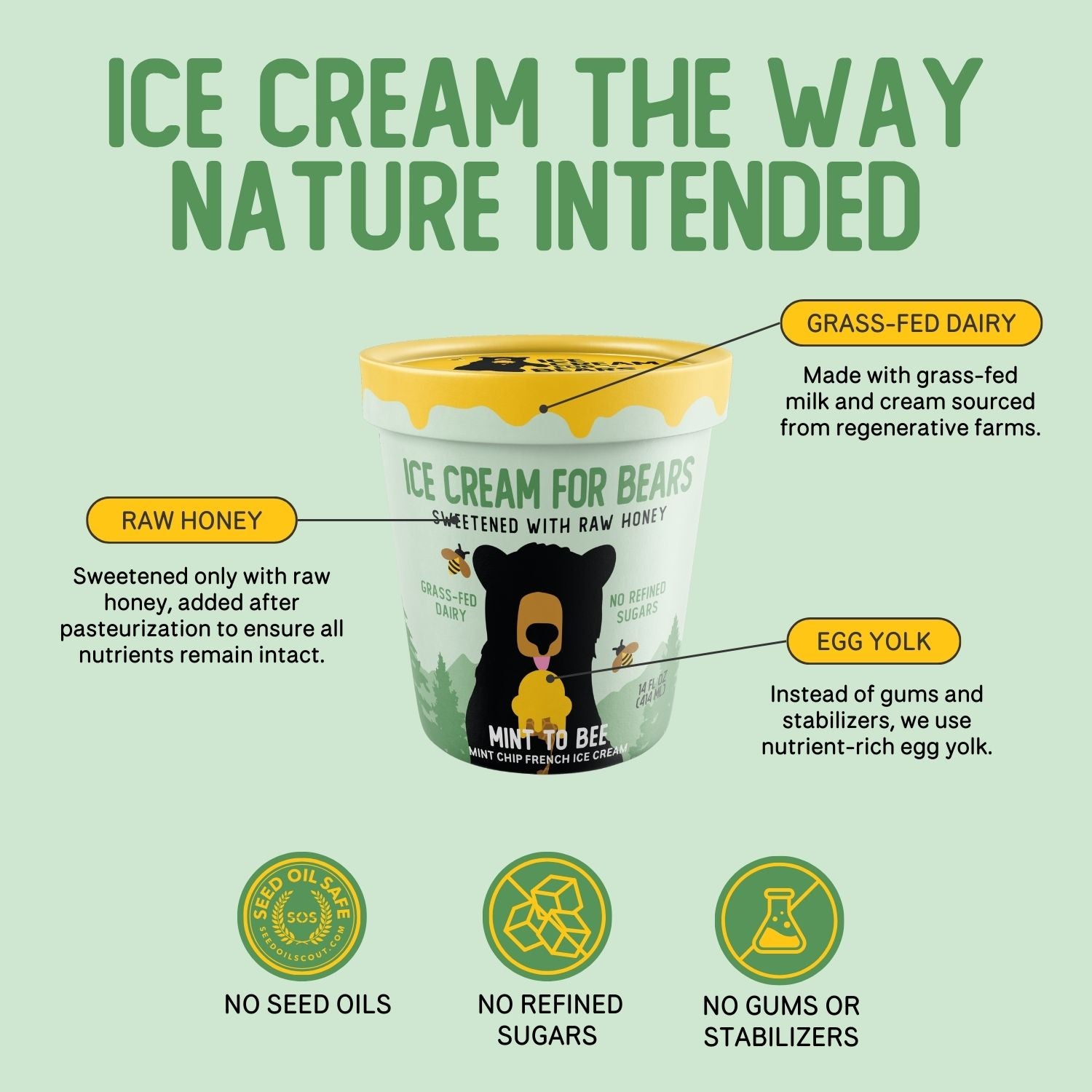 Mint to Bee - Mint Chip – Ice Cream For Bears